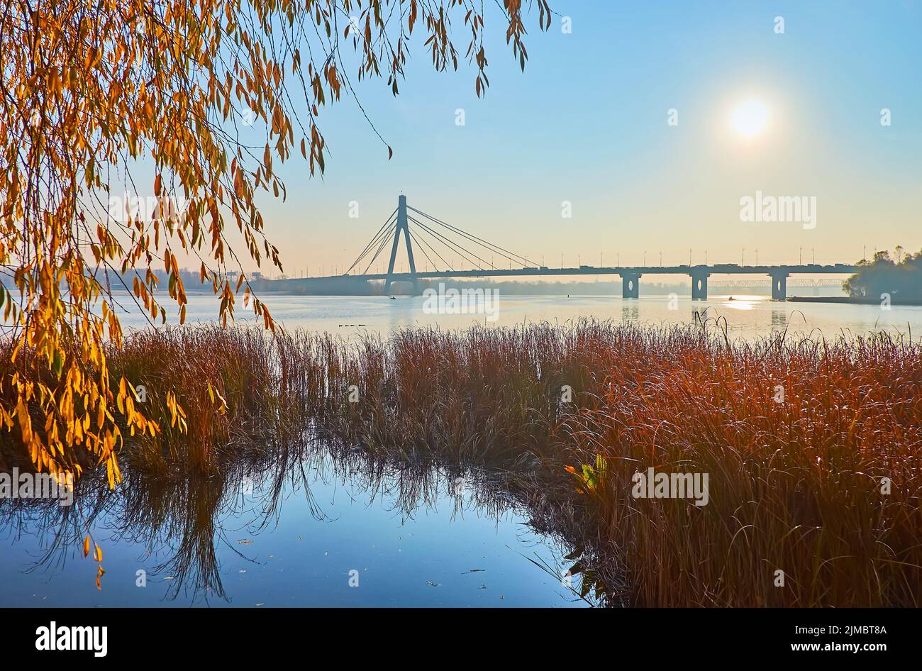 Genießen Sie den trüben Sonnenaufgang auf dem Dnjepr River mit Blick auf den herbstlichen Weidenbaum und die Pivnichnyj (nördliche) Brücke im Hintergrund, Kiew, Ukraine Stockfoto