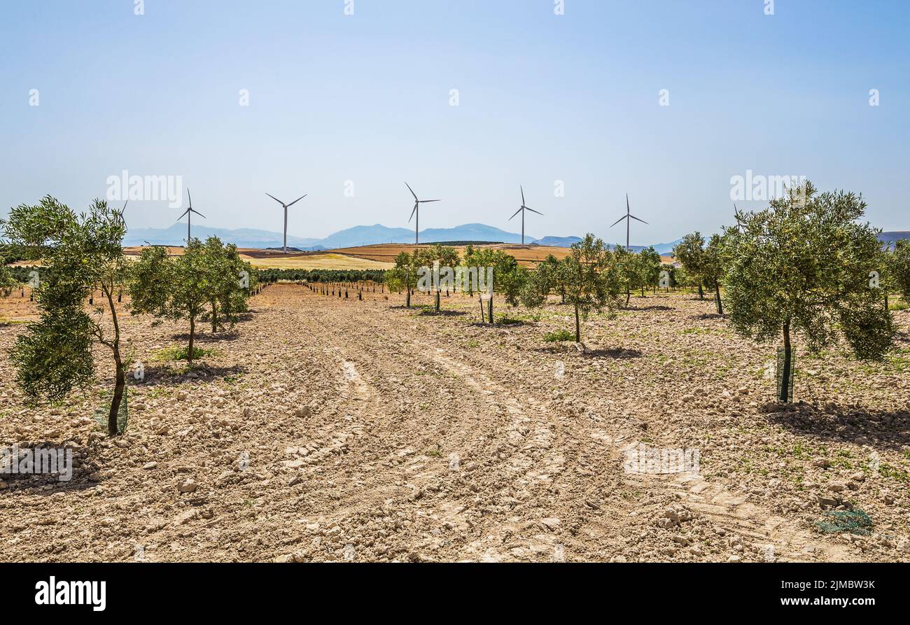 Schöne Landschaft in Andalusien, Spanien Stockfoto