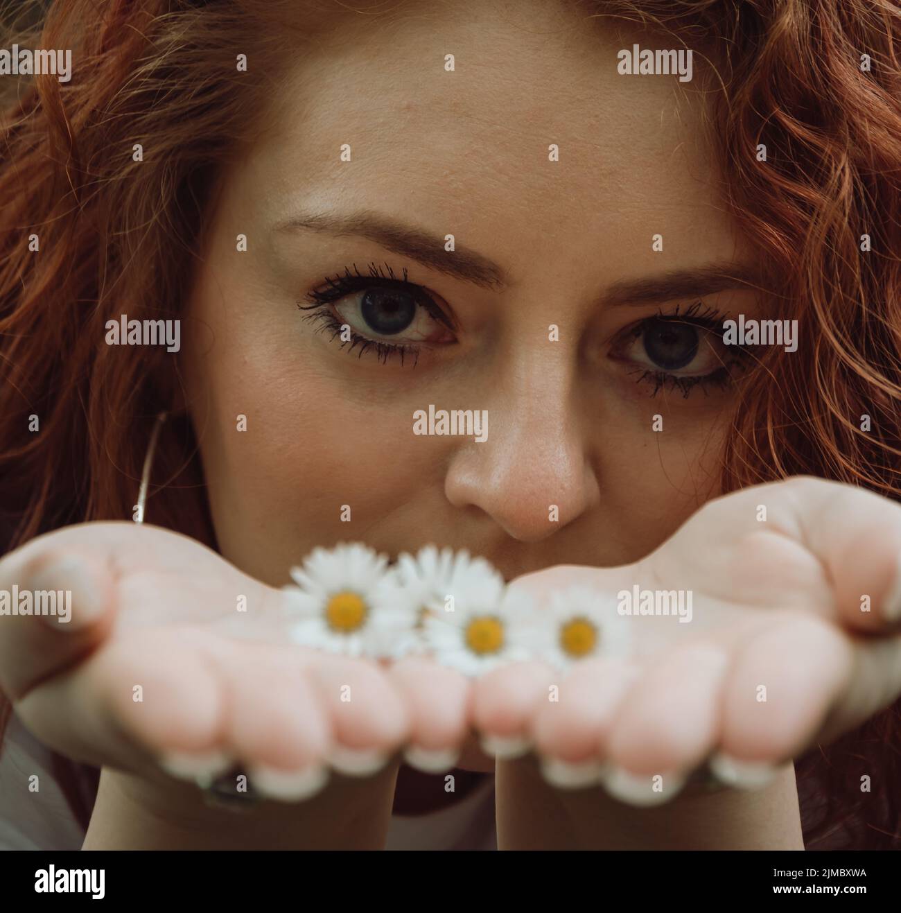 Junge Frau hält weiße Gänseblümchen in ihrer Handfläche Stockfoto