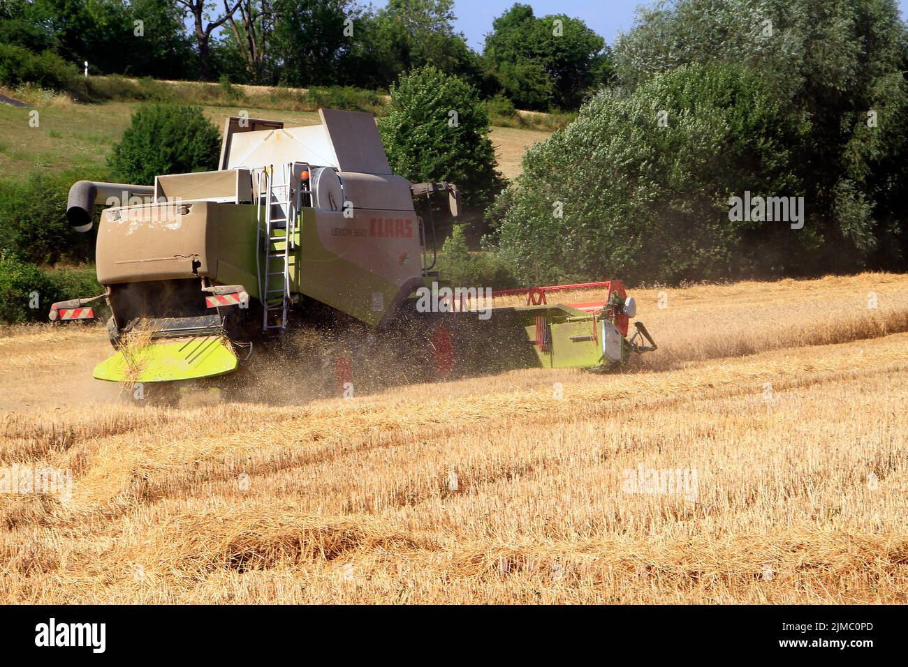 Ernte, Getreideernte, Ernteverlust, Geblar, Geisa, Thüringen, Deutschland, Europa Stockfoto