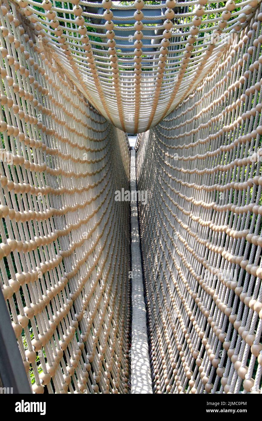 Baumdachweg Hainich, UNESCO-Weltkulturerbe, Thüringen, Deutschland, Europa Stockfoto