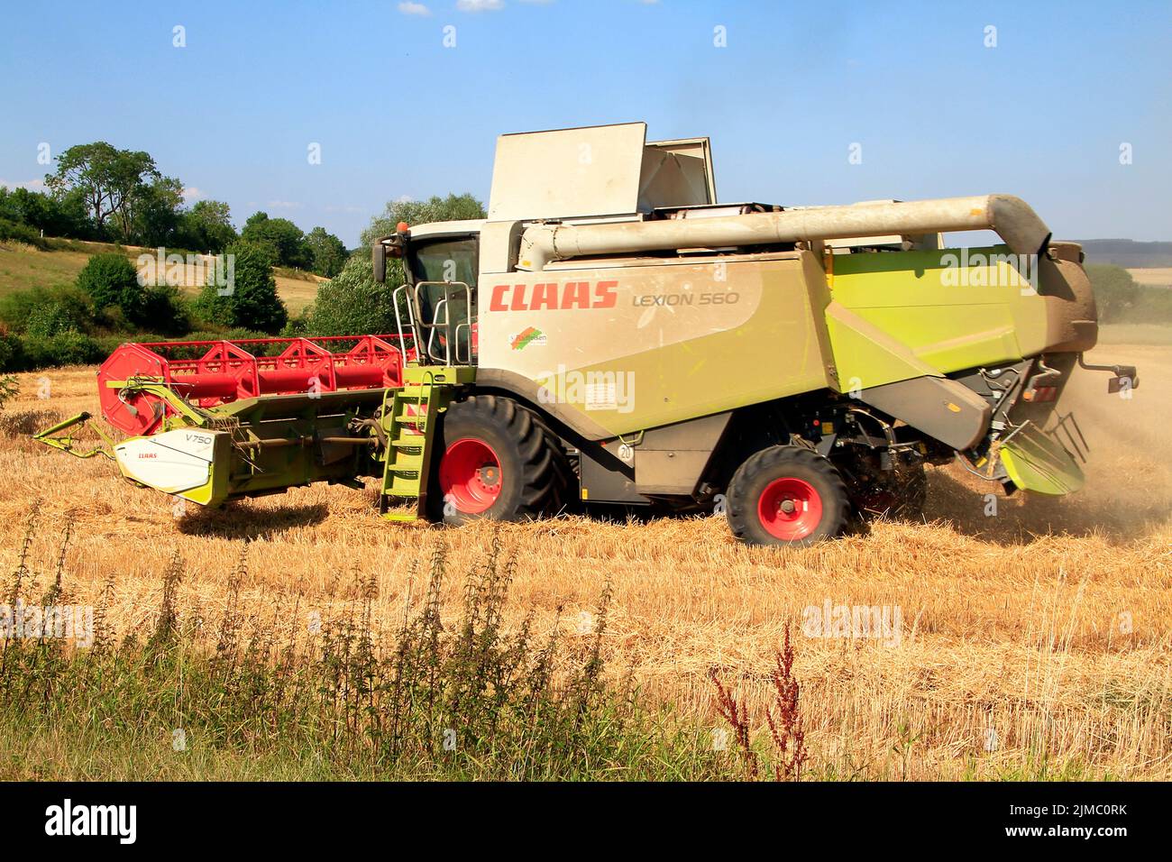 Ernte, Getreideernte, Ernteverlust, Geblar, Geisa, Thüringen, Deutschland, Europa Stockfoto