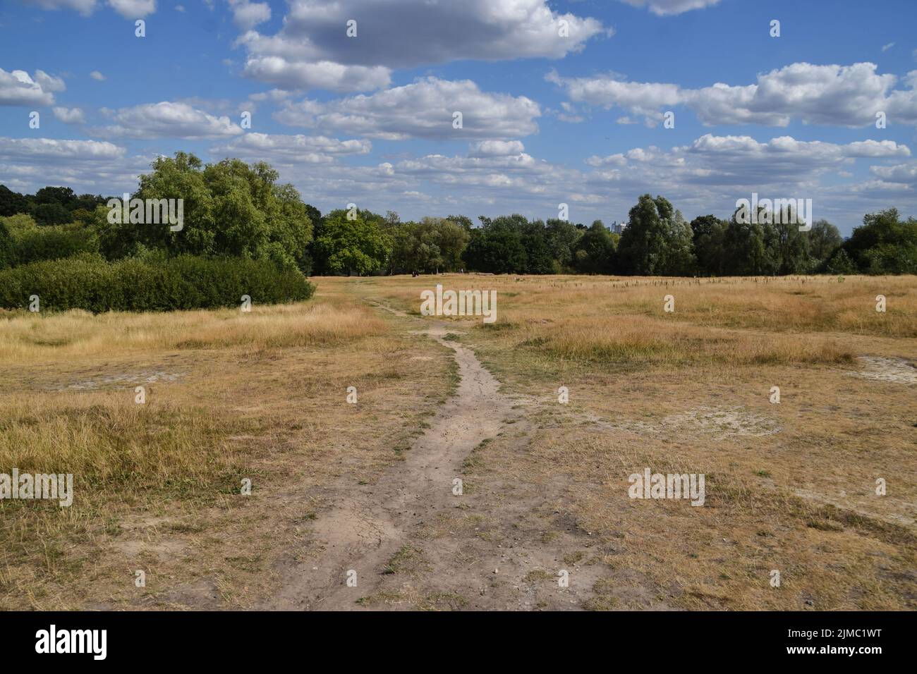 In Hampstead Heath wird eine ausgetrocknete Landschaft gesehen, da in London weiterhin heißes Wetter und Dürrebedingungen aufgrund des Klimawandels herrschen. England hat seinen trockensten Juli seit fast einem Jahrhundert gemeldet. Stockfoto