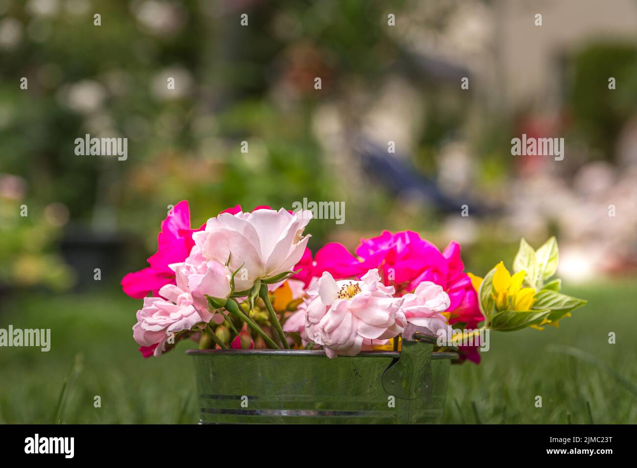 Ein Eimer voller Blumen Stockfoto