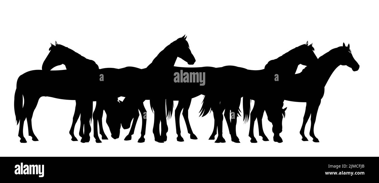 Pferde grasen. Bildsilhouette. Haustiere auf dem Bauernhof. Tiere sind traditionell. Isoliert auf weißem Hintergrund. Vektor Ziege mit Kind in der Nähe der Herde Stock Vektor