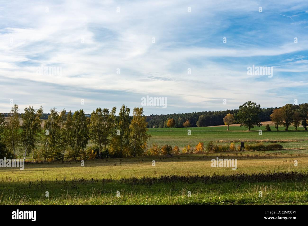 Malerische Sommerlandschaft mit grünen Feldern Stockfoto