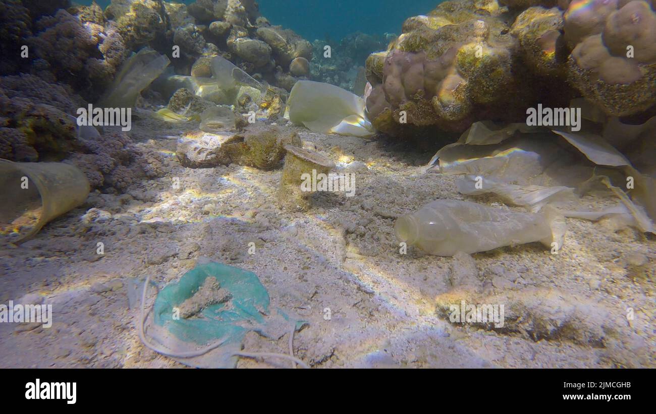 Meeresboden von schönen Korallenriff mit Plastik und anderen Müll bedeckt, Rotes Meer, Ägypten Stockfoto
