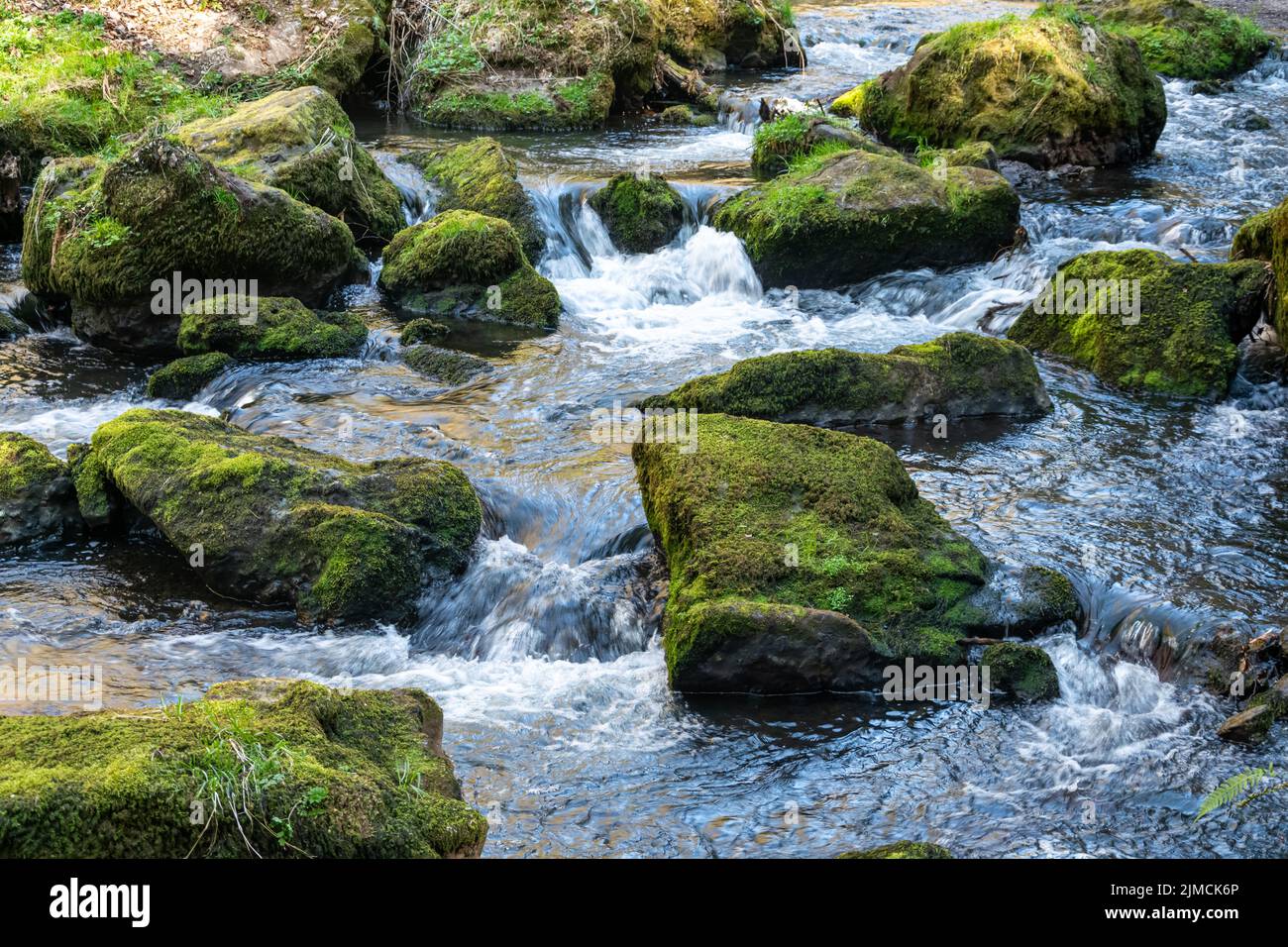 Fluss fließt um grüne moosige Felsen in der Nähe Stockfoto
