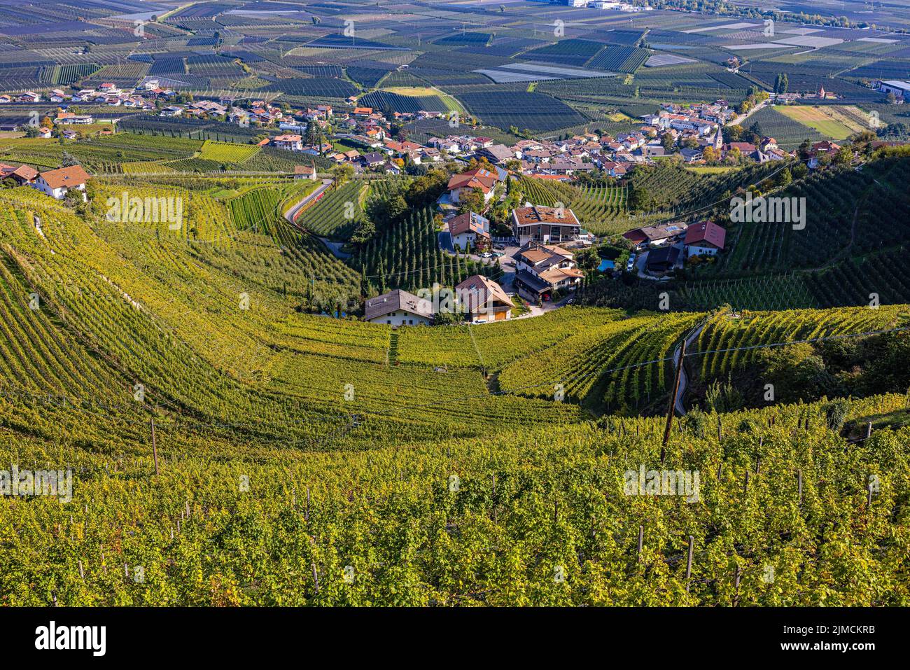 Das Dorf Tscherms inmitten von Weinbergen, Blick vom Marlinger Waalweg, Südtirol, Italien Stockfoto