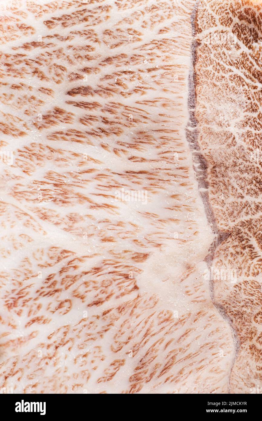 Nahaufnahme des traditionellen japanischen, ungekochten wagyu-Rindfleisches der präfektur kobe in hellem Raum während der Zubereitung Stockfoto