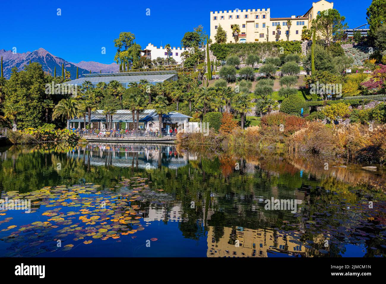 Die Gärten von Schloss Trauttmansdorff mit Seerosenteich, bei Meran, Südtirol, Italien Stockfoto