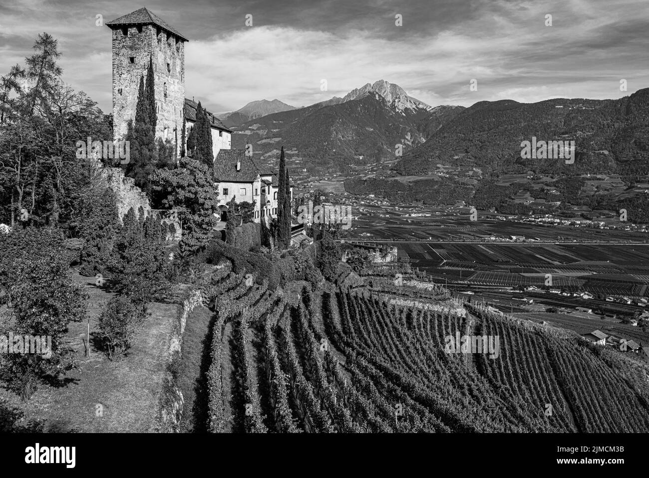 Schloss Lebenberg über Weinbergen, bei Tscherms, Schwarz-Weiß-Aufnahme, im Hintergrund der Kurort Meran, Südtirol, Italien Stockfoto