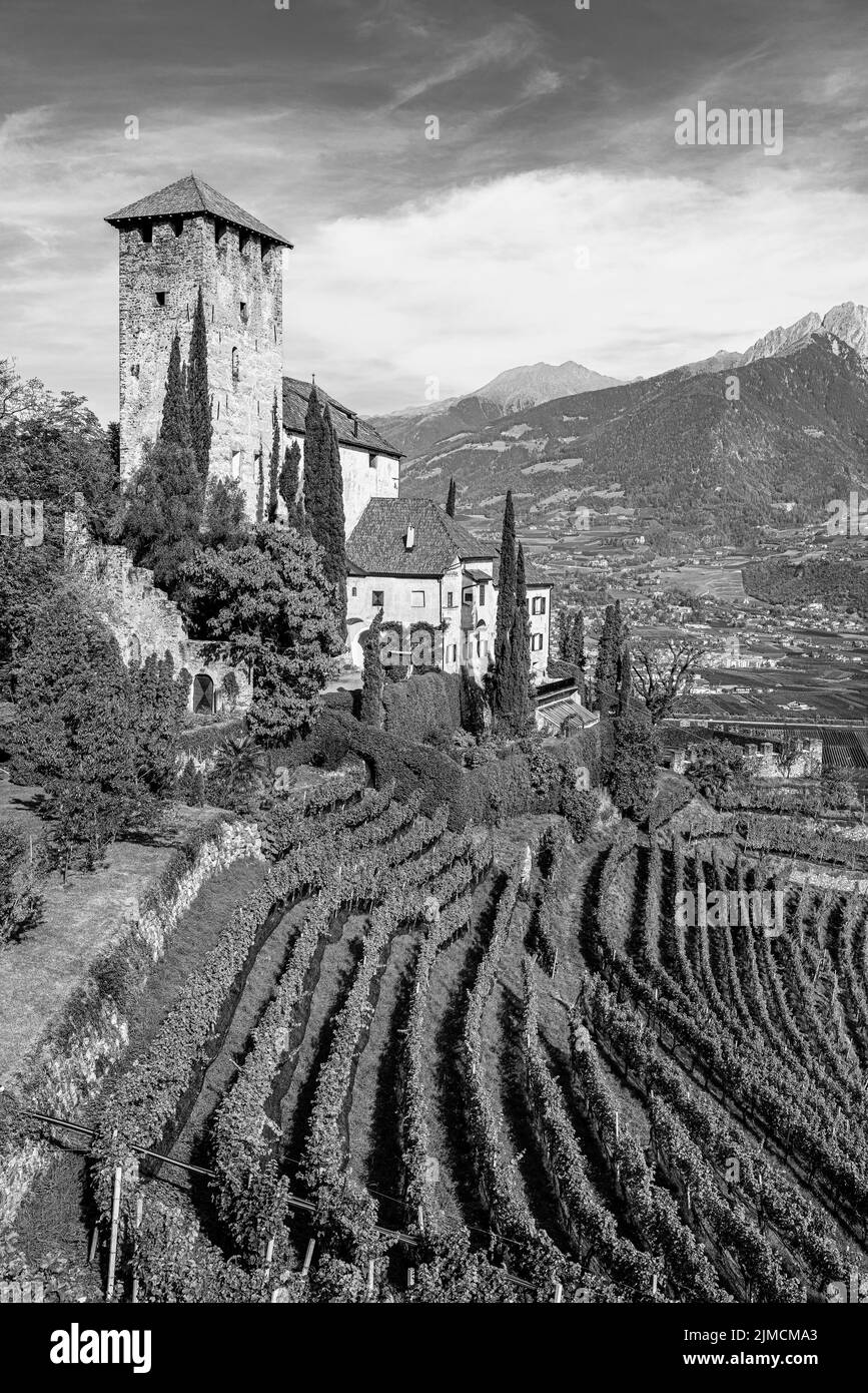 Schloss Lebenberg über Weinbergen, bei Tscherms, Schwarz-Weiß-Aufnahme, im Hintergrund der Kurort Meran, Südtirol, Italien Stockfoto