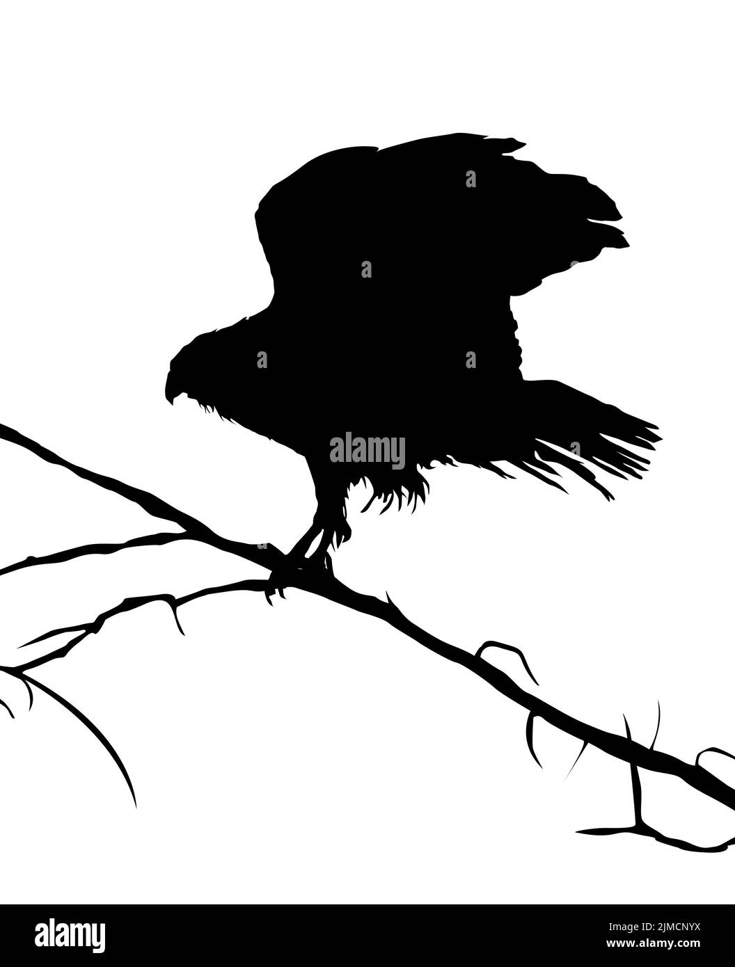 Adler Silhouette auf einem Baum, Vektorobjekte auf weißem Hintergrund Stockfoto