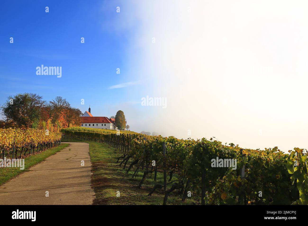 Aufsteigender Nebel im Weinberg bei Volkach mit Blick auf die Vogelsburg. Volkach, Kitzingen, Unterfranken, Bayern, Deutschland Stockfoto