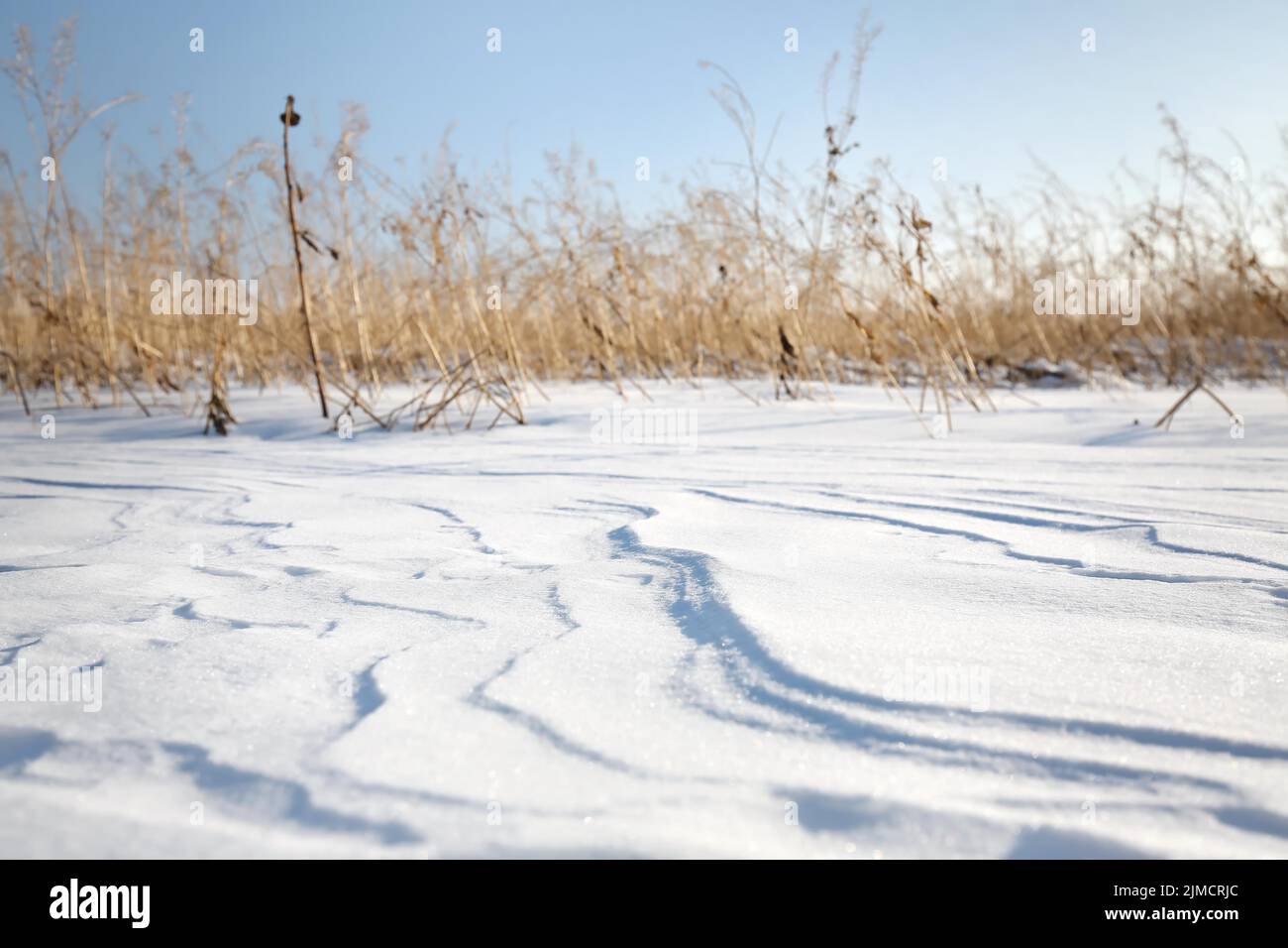 Schneeverwehungen, die durch den Wind aus Pulverschnee verursacht werden, wirken wie Dünen und bilden bizarre Muster und Strukturen Stockfoto