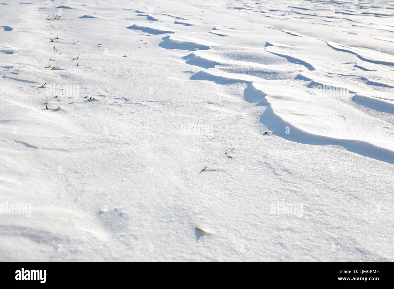Schneeverwehungen, die durch den Wind aus Pulverschnee verursacht werden, wirken wie Dünen und bilden bizarre Muster und Strukturen Stockfoto