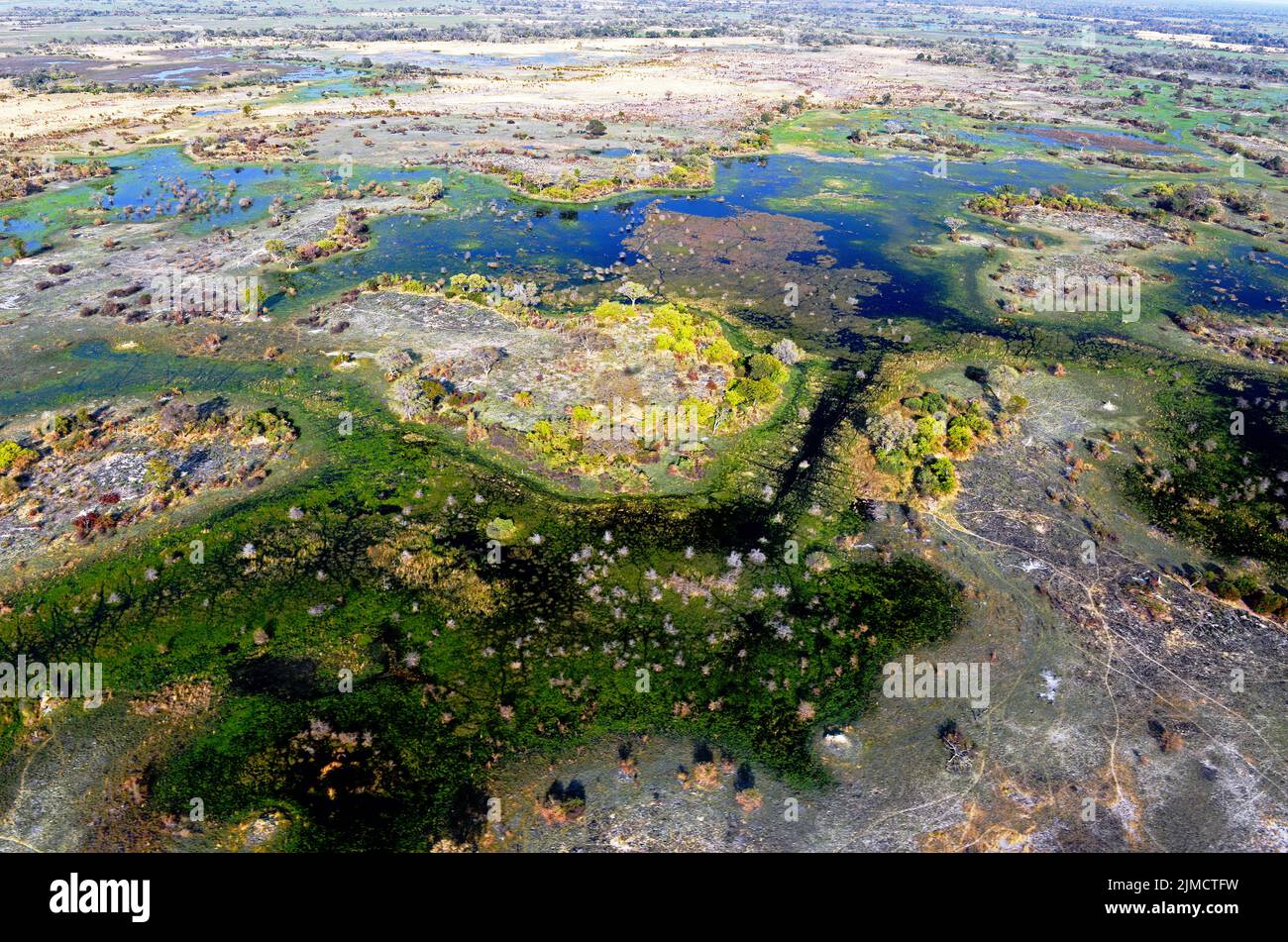 Okavango Delta , Botwana, Afrika Stockfoto