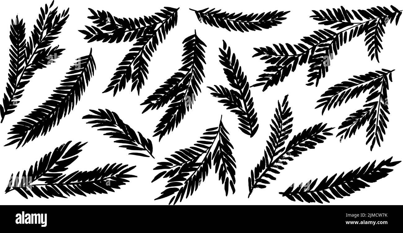 Handgezeichnetes Weihnachts-Fichtenbaum-Äste-Set. Stock Vektor