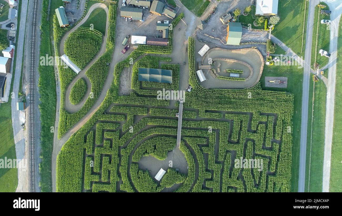 Blick von einer Drohne auf ein großes Maislabyrinth nach unten In Pennsylvania Stockfoto