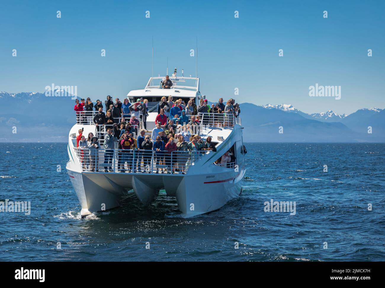 Walbeobachtungstour in British Columbia, Kanada im Sommer. Ein Wal taucht im Wasser auf, während Menschen beobachten, Fotos machen. Das war ein Walwat Stockfoto