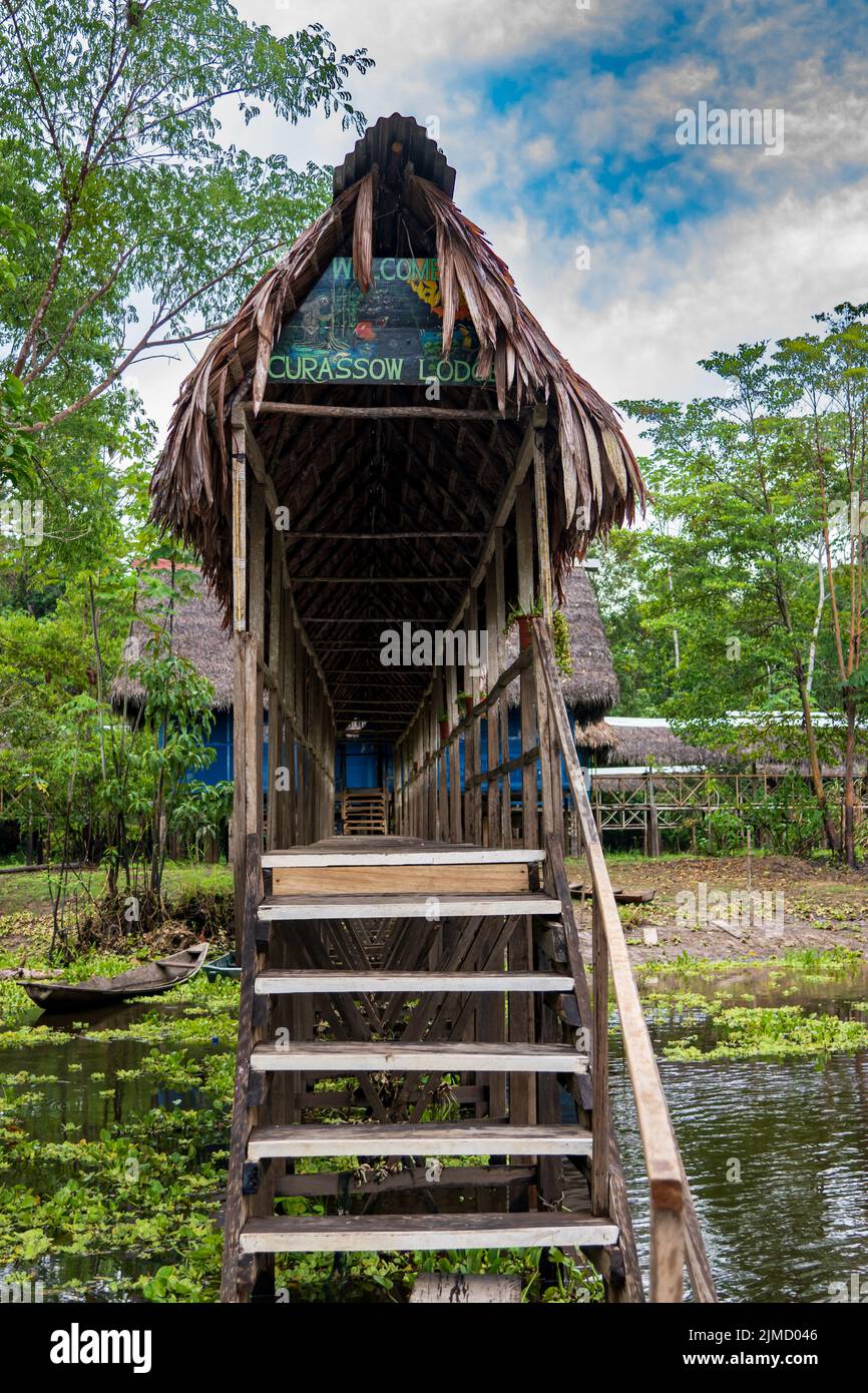 Die curassow Amazon Lodge liegt am Ufer des Yanayacu-Flusses im peruanischen Amazonas Stockfoto
