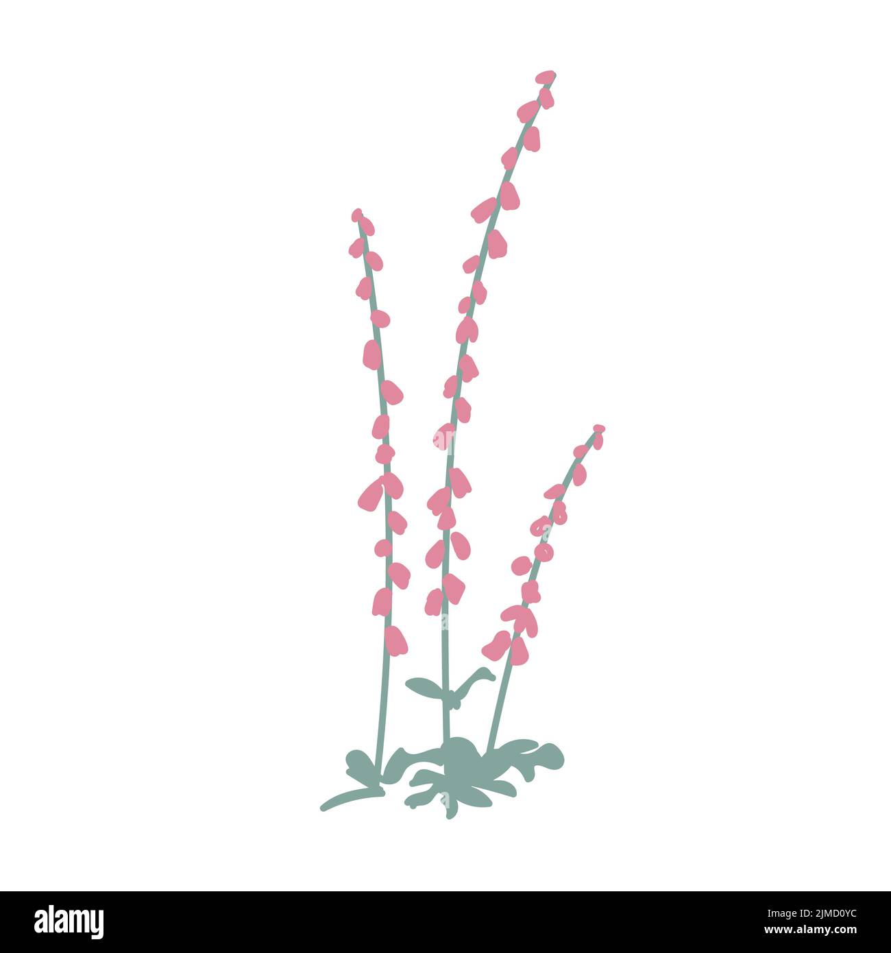 Doodle Zeichnung digitalis oder lila Fuchshandschuh. Heilpflanze und blühende Pflanze. Vektorgrafik auf weißem, isoliertem Hintergrund. Stock Vektor
