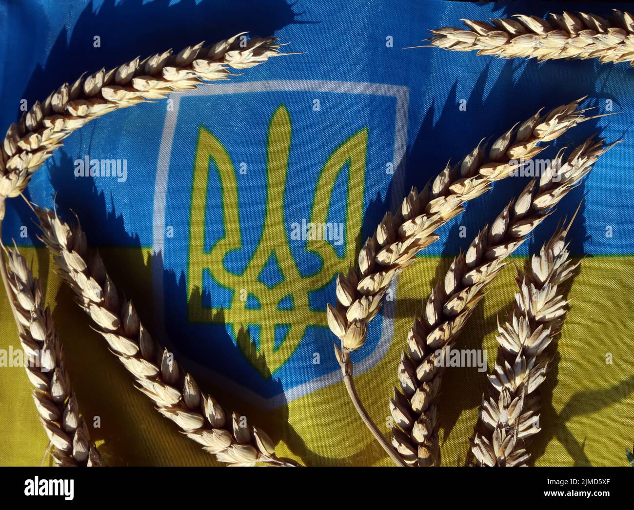 Unter der Flagge der Ukraine mit Getreidekörnern werden landwirtschaftliche Probleme, verringerte Getreideexporte und steigende Lebensmittelpreise wie Brot und Futtermittel hervorgehoben Stockfoto