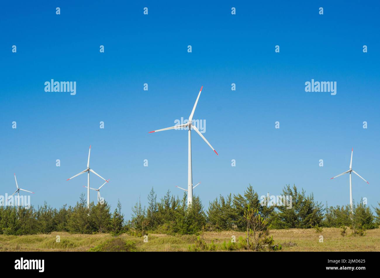Großartiges Konzept für erneuerbare, nachhaltige Energie. Windfeld mit Windturbinen, die äolischen en produzieren Stockfoto