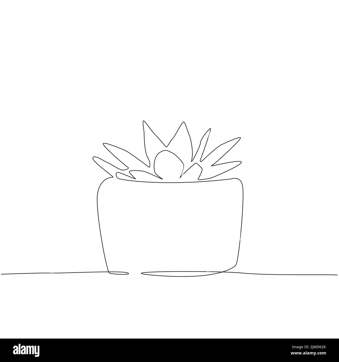 Sukkulenten Formen, Symbol Topfpflanzen, lineare Symbole. Linie mit bearbeitbarer Kontur Stock Vektor