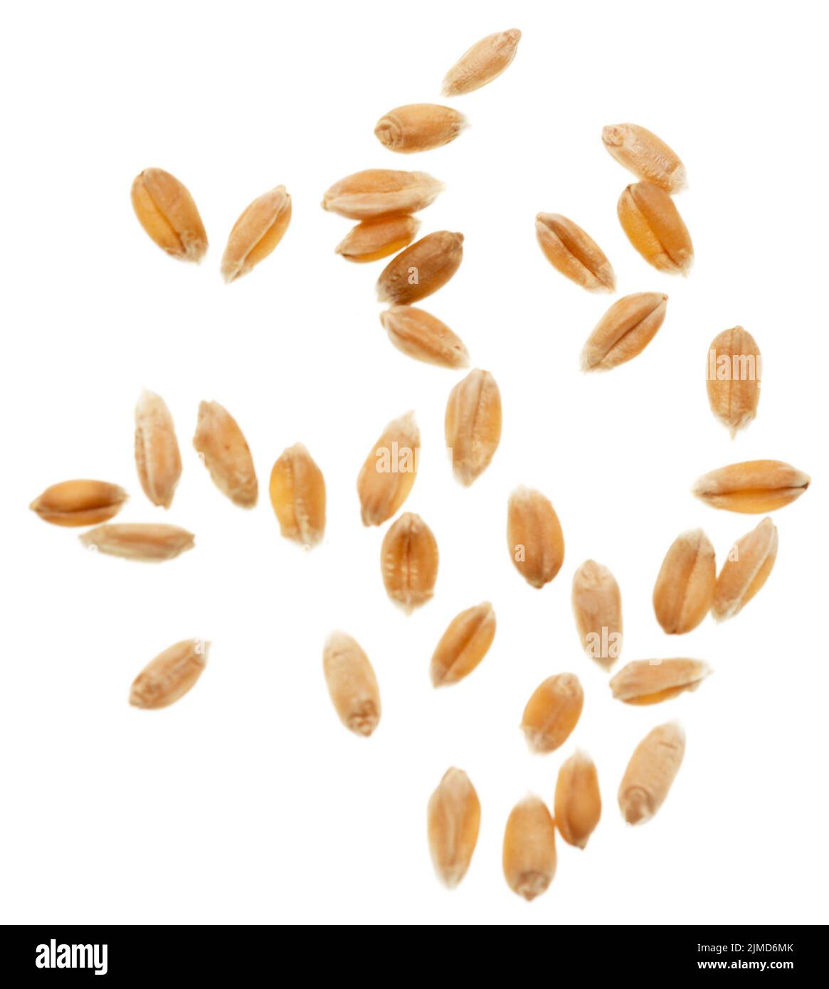 Weizen Korn auf Weiß Stockfoto
