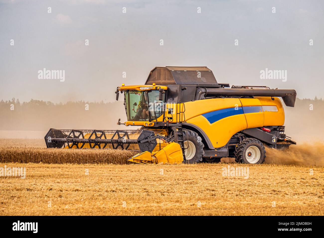 Moderner Mähdrescher in einem Weizenfeld. Landwirtschaftliche Saisonarbeit Stockfoto