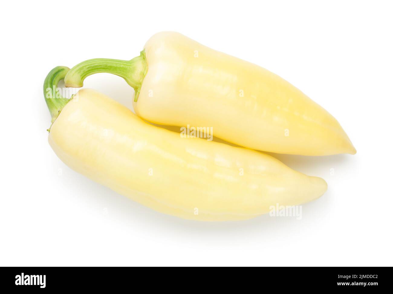 Weiße Paprika Isoliert Auf Weißem Hintergrund Stockfoto