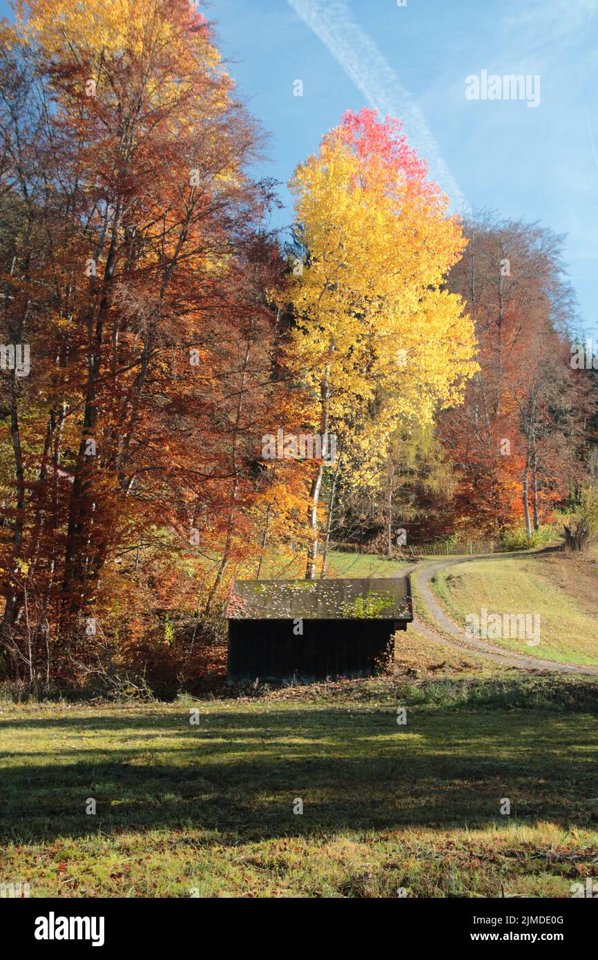 Herbst in der Region OberallgÃ¤U Stockfoto