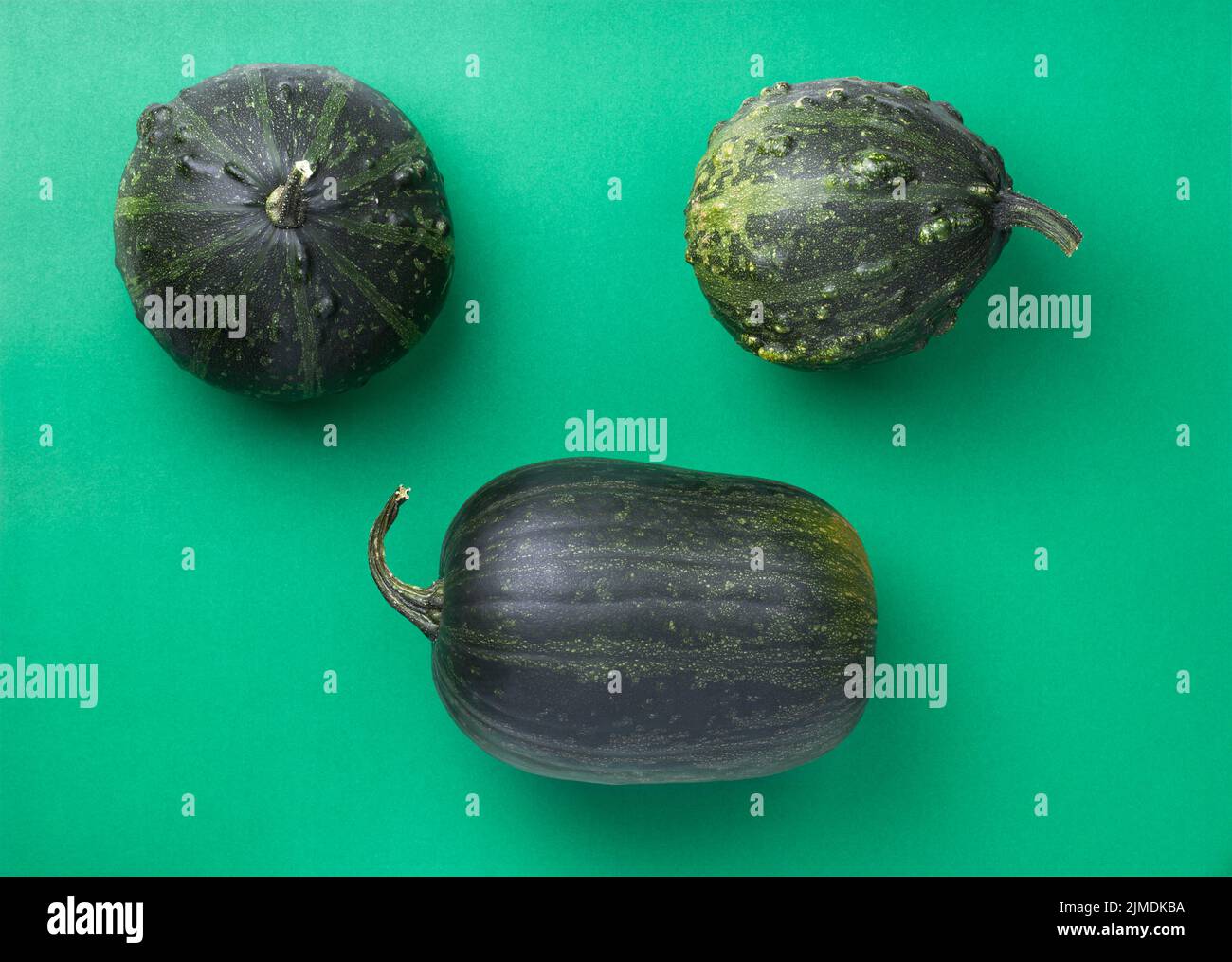 Grüne Herbstkürbisse Auf Grünem Papier Hintergrund Stockfoto