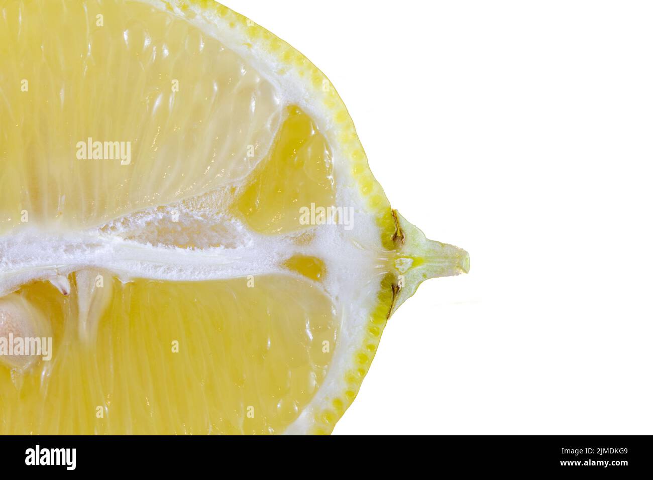 Geschnittene frische Zitrone isoliert auf weißem Makro fangen geeignet als Backgorund oder Tapete. Stockfoto