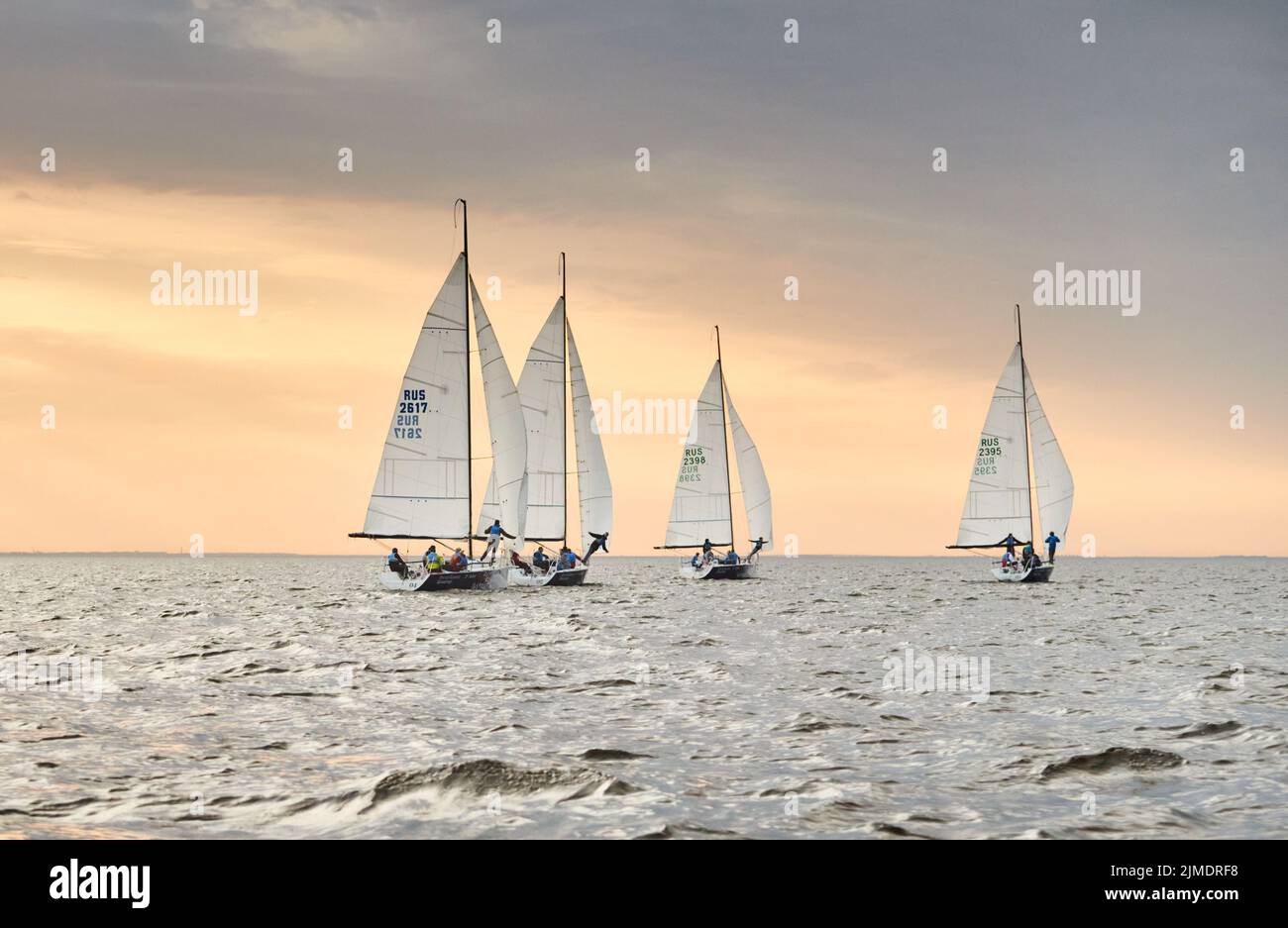 Russland, St.Petersburg, 05. September 2020: Einige Segelboote in einer Liste geht auf dem Seeweg, der Himmel von rosa Farbe, der Sturmhimmel, Regatta Stockfoto