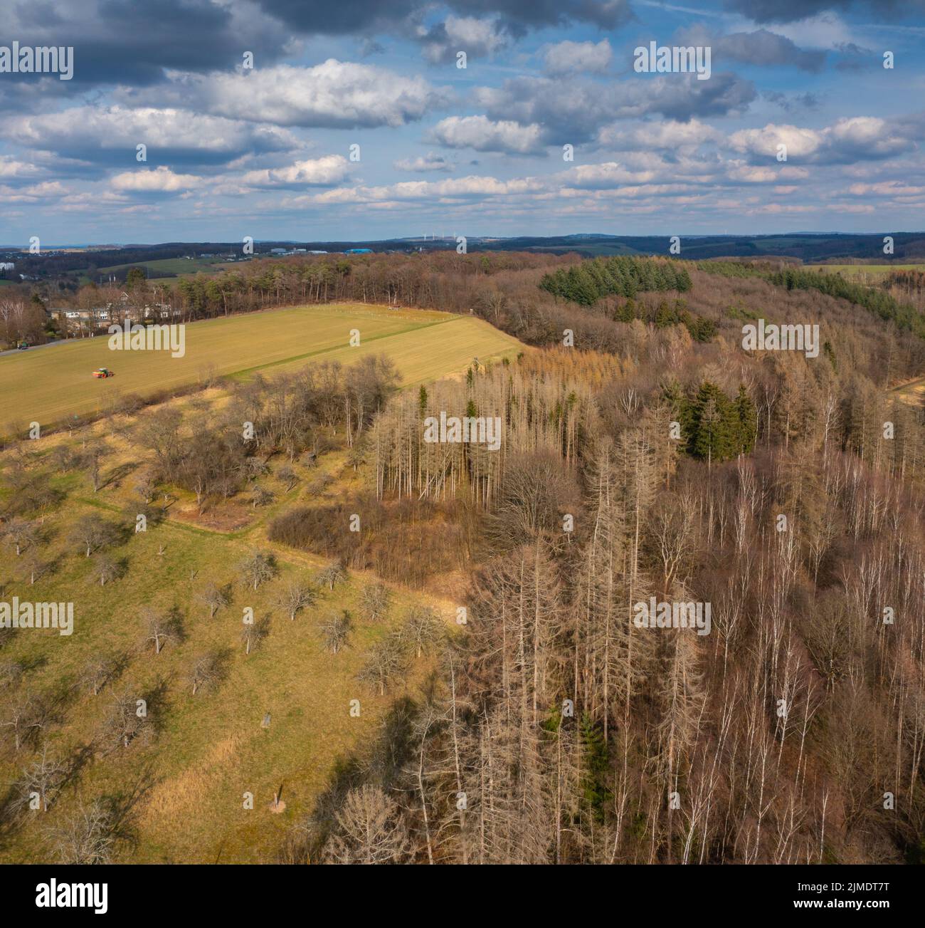 Luftaufnahme über Wälder und Wiesen von Westerwald, Altenkirchen, Deutschland Stockfoto