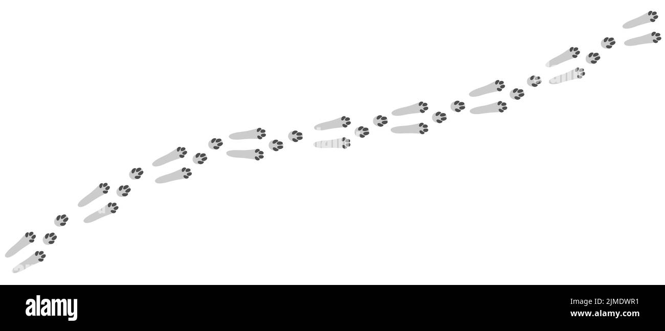 Hare Footprints Konzept. Niedliche Hasenfußabdrücke. Isolierte Abbildung auf weißem Hintergrund. Vektorgrafik. Stock Vektor