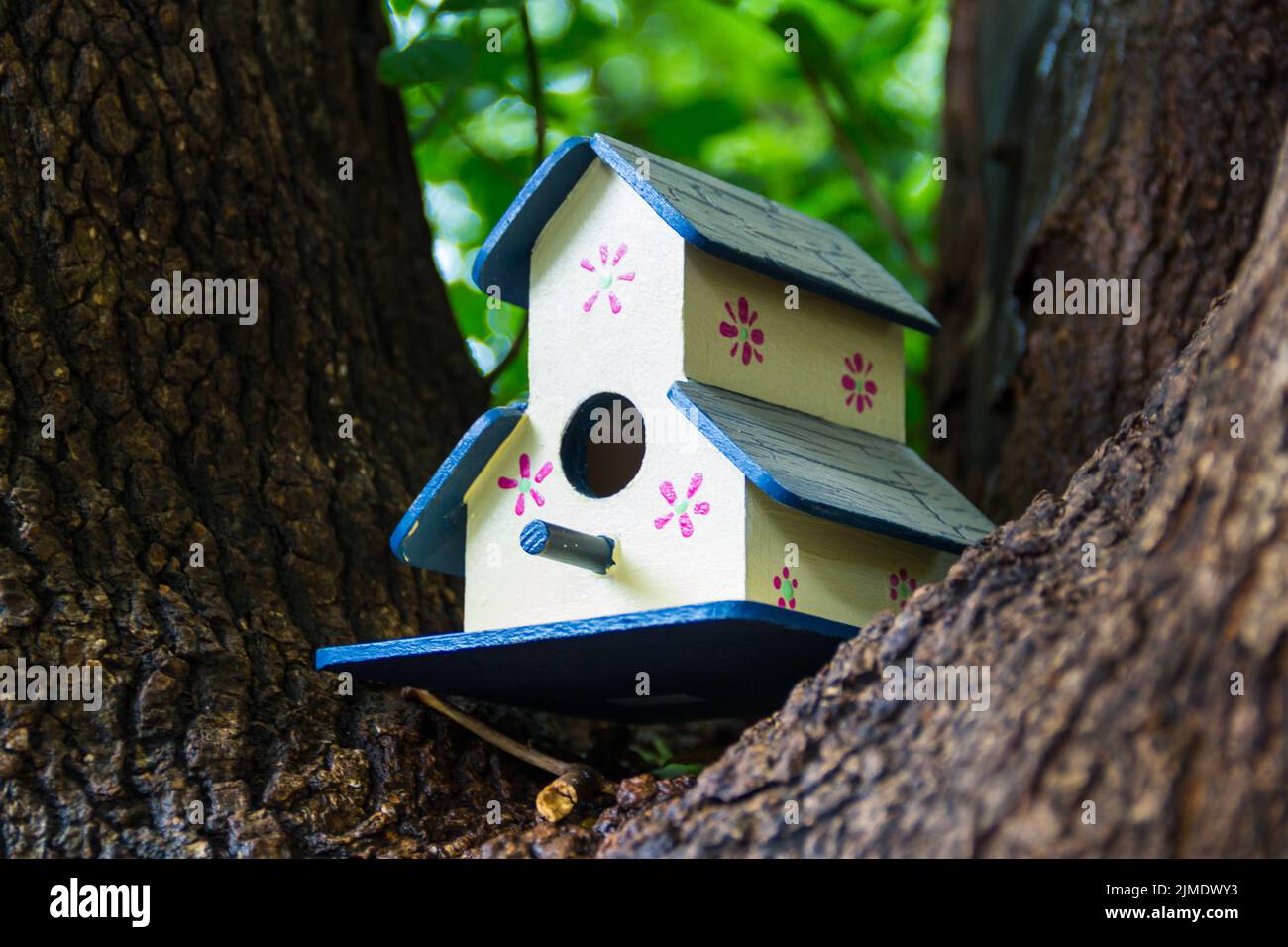 Handgefertigte Vogelhäuser im Frühjahr handbemalt auf den Baumstamm Stockfoto