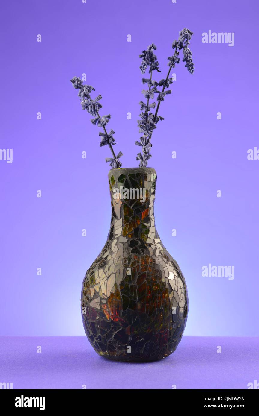 Vase Mit Getrocknetem Lavendel Stockfoto