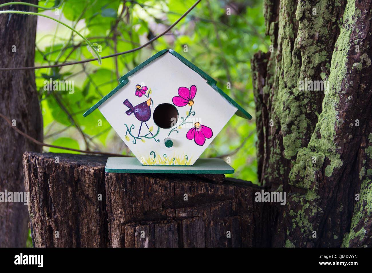 Handgefertigte Vogelhäuser im Frühjahr handbemalt auf den Baumstamm Stockfoto