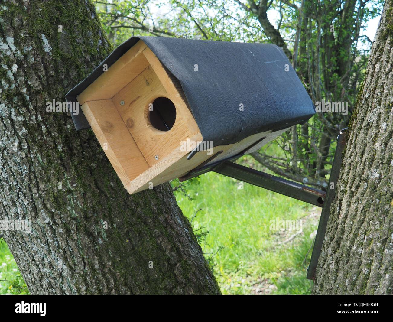 Eule nistkasten Fotos und Bildmaterial in hoher Auflösung Alamy