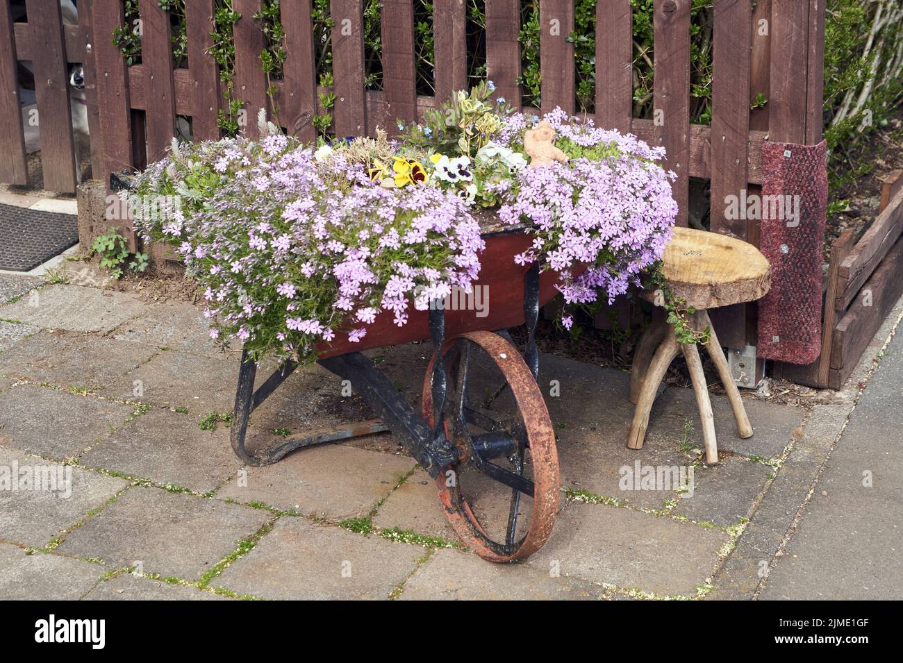 Blumen in einer alten roten Schubkarre aus Eisen. Stockfoto