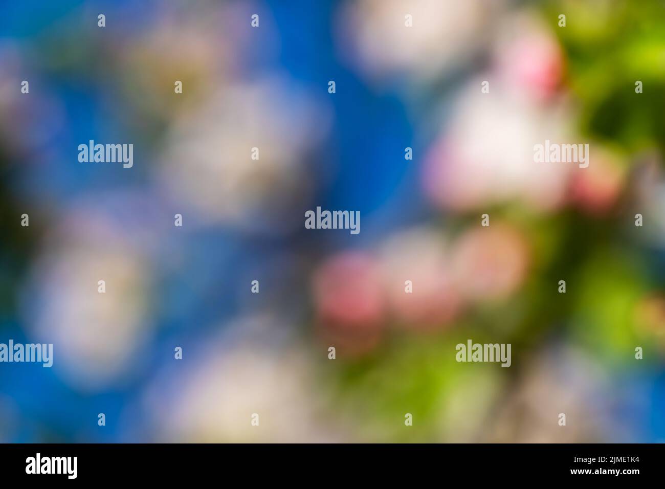 Abstrakt Weichzeichnen Frühling Blüte Hintergrund Stockfoto
