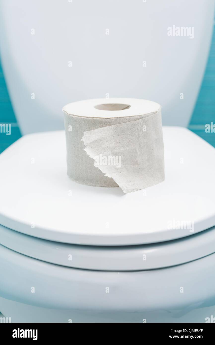 Zerrissene Rolle Toilettenpapier liegt auf dem geschlossenen Deckel der Toilettenschüssel Stockfoto