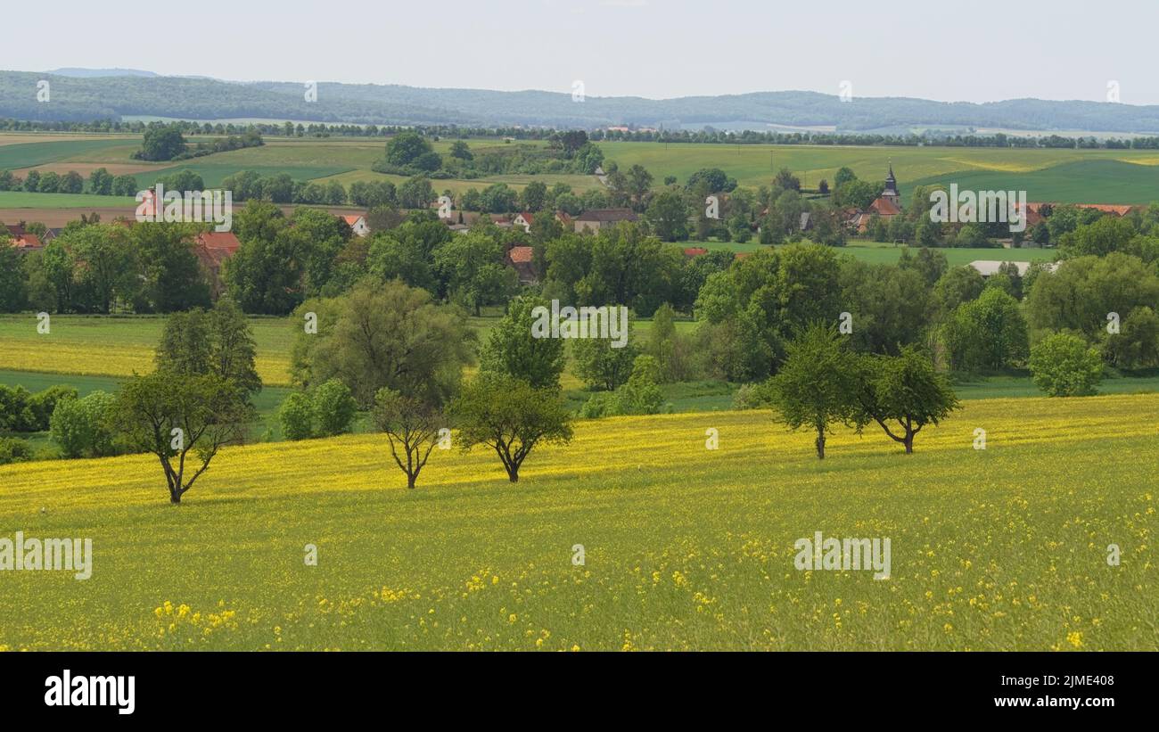 Osterwieck - Landschaft bei BÃ¼hne/Rimbeck, Blick über das Vorland des Harzes, Deutschland Stockfoto