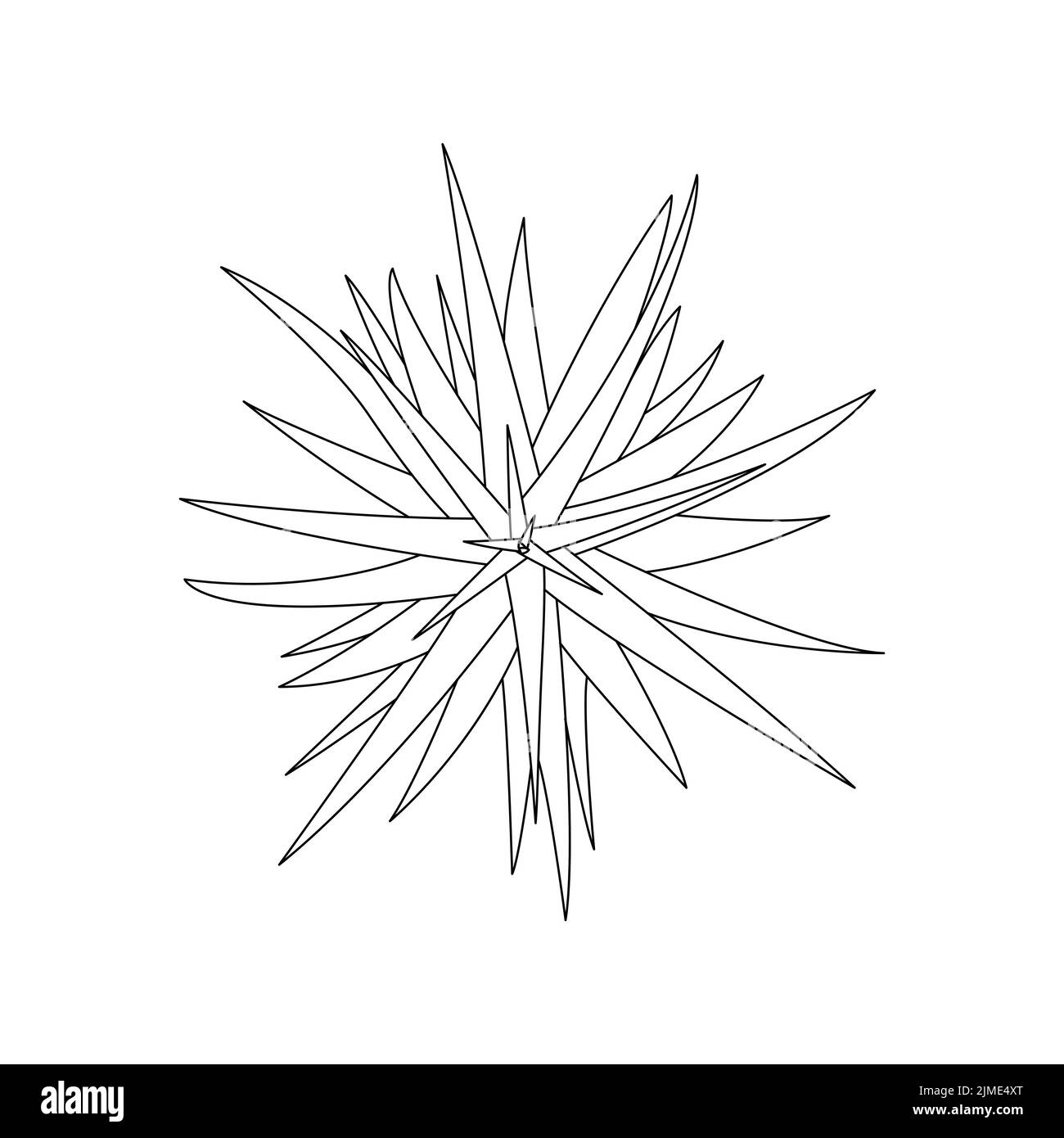 Die ununterbrochene Linienzeichnung der Blumentöpfe. Schöne Blumen isoliert weißen Hintergrund. Vektorgrafik Stock Vektor