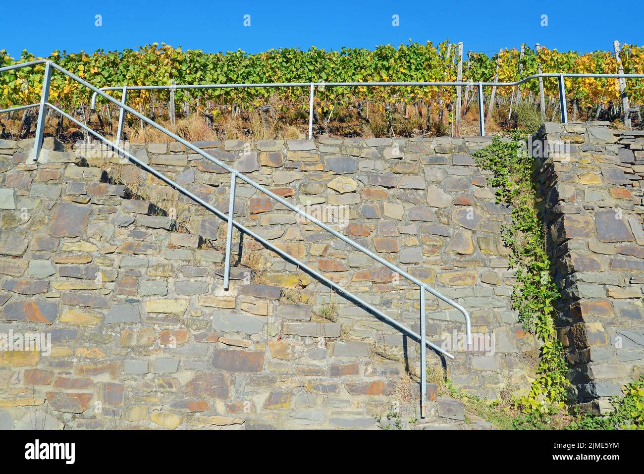 Ahrweiler, Weinberge Stockfoto