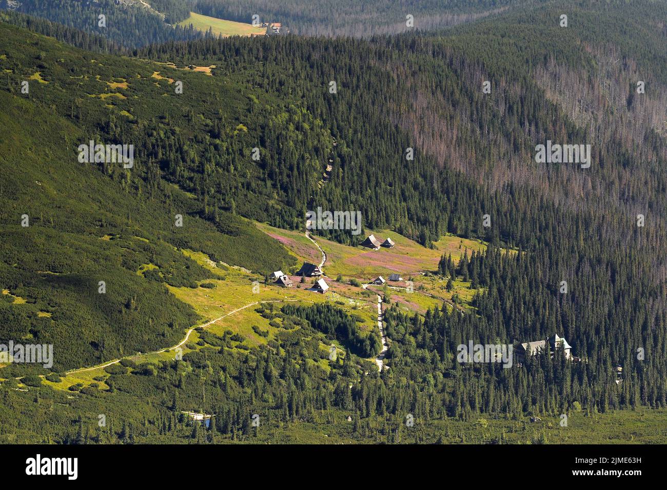 Gasienicowa Weide vom Weg nach Swinica gesehen Stockfoto